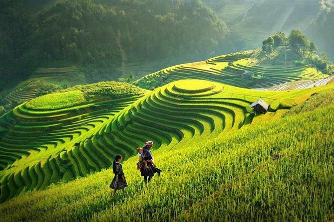 2 Days 1 night Sapa Tour from Hanoi by Limousine/Sleeper bus - The Muong Hoa Valley walk on day two