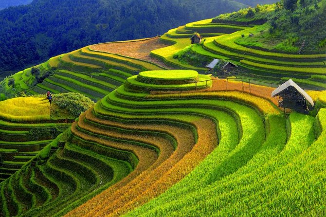 2 Days 1 night Sapa Tour from Hanoi by Limousine/Sleeper bus - When $149.99 is fair value