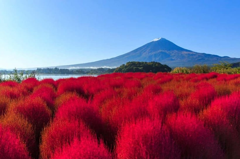 3-Row Luxury Bus Tour to Mt. Fuji, Lake Kawaguchi from Tokyo - Why This Fuji Tour Works as a One-Day Escape