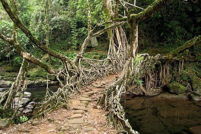 6-Day Tour of Exotic Northeast India: Mawsmai Caves, Double Decker Living Root Bridge and Kaziranga National Park - Day 2: Cherrapunji and the world’s wettest weather
