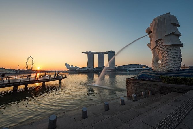6 Hours - Singapore Tour in Private Car or Minibus with Driver - Why a private car makes sense in Singapore