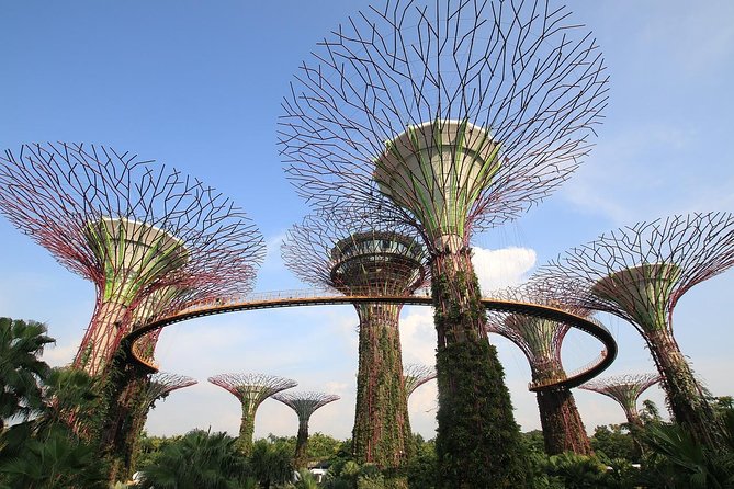 6 Hours - Singapore Tour in Private Car or Minibus with Driver - Little India and Singapore’s cultural mix