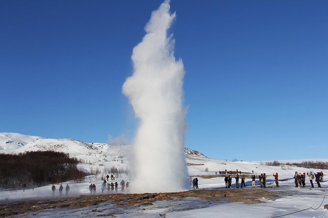 8-Day Small Group Tour Around Iceland from Reykjavik - Day 6: Whales and the road south