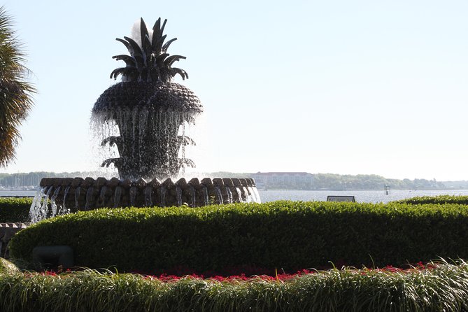 90-Minute Charleston City Sightseeing Bus Tour - Why this 90-minute ride works well