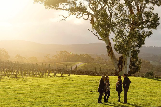 Adelaide Hills & Hahndorf Hop-On Hop-Off Wine Tour - Key points at a glance
