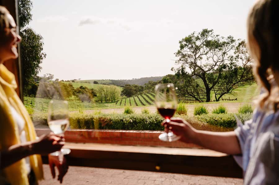 Adelaide: Premium McLaren Vale Wine and Brew Minibus Tour - Comfort, walking, and what to bring