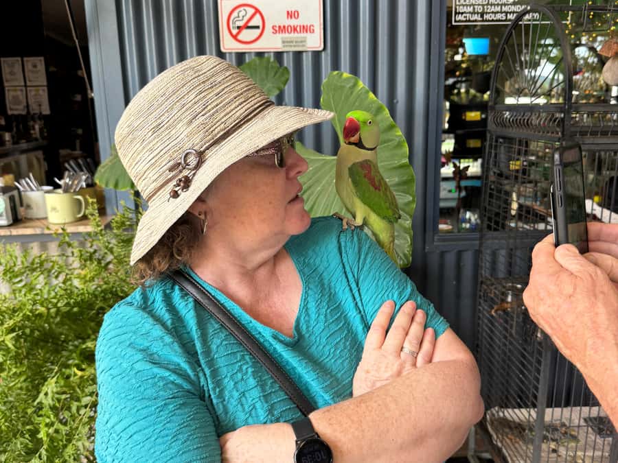 Airlie Beach: Sightseeing Bus Tour - Who should book this Airlie Beach outing?
