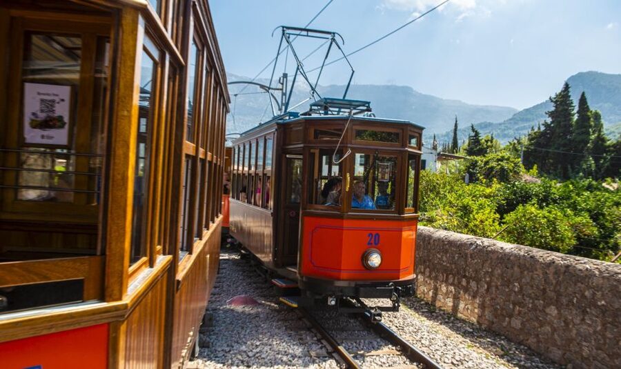 Alcudia/Marratxi: Valldemossa & Soller Tour by Tram & Bus - Port de Sóller: lunch, water, and a final walk