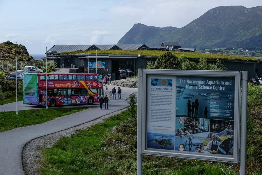 Alesund: City Sightseeing Hop-On Hop-Off Bus Tour - Stop 8: Ålesund Aquarium and Atlanterhavsparken