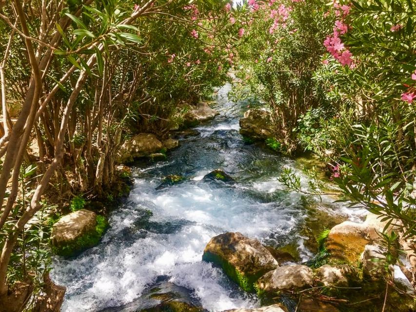 Algar Waterfalls Coach Trip - From Albir & Benidorm - Swimming in the mountain pools