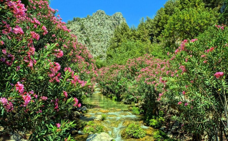 Algar Waterfalls Coach Trip - From Albir & Benidorm - What $31 buys you