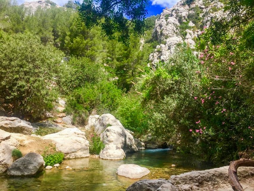 Algar Waterfalls Coach Trip - From Albir & Benidorm - Who should book this outing?