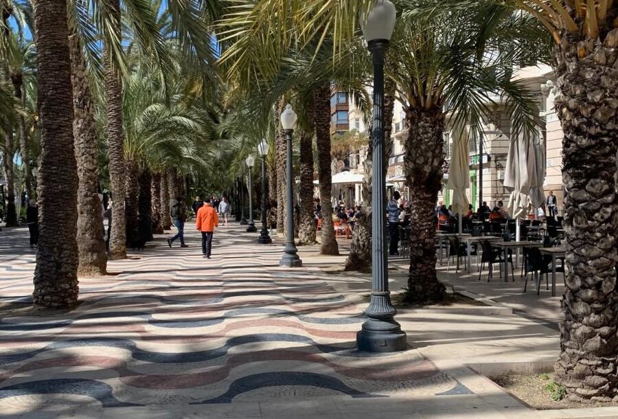 Alicante Discovery Tour - From Albir & Benidorm - Museums, market, and shopping time