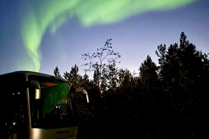 Alta: The Northern Lights Bus – a comfortable Arctic journey - What this Alta aurora hunt actually involves