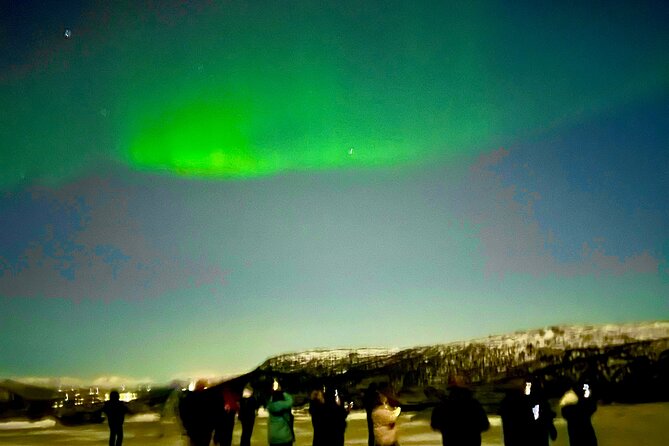 Alta: The Northern Lights Bus – a comfortable Arctic journey - Bus comfort and group size