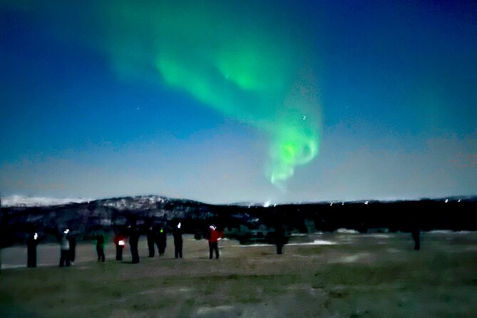Alta: The Northern Lights Bus – a comfortable Arctic journey - Is $156.56 a sensible price?
