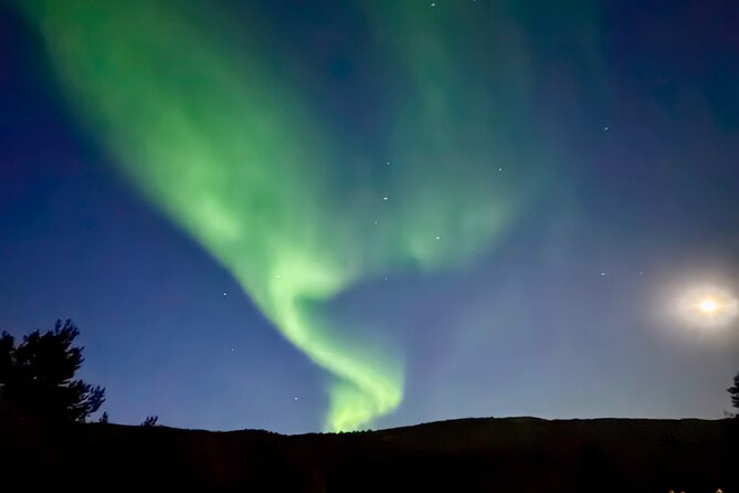 Alta: The Northern Lights Bus – a comfortable Arctic journey - Why the moving format matters