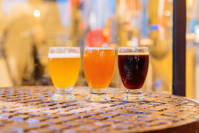 Amsterdam Craft Beer Brewery Tour by Bus with Tastings - Who should book this Amsterdam beer outing?