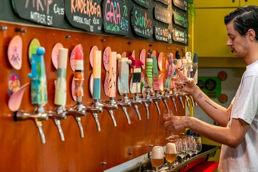 Amsterdam: Guided Craft Beer Brewery Bus Tour with Tastings - The guide makes more difference than the beer list