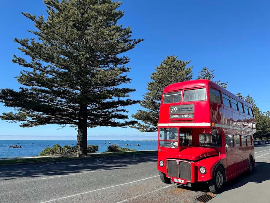 Auckland: Vintage Double-Decker Bus Sightseeing Tour - Mission Bay brings the city to the water