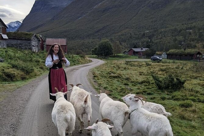 Audio-Guide Bus Tour at Scenic Routes of Åndalsnes to Trollstigen - The Trollstigen problem, and the route you actually get