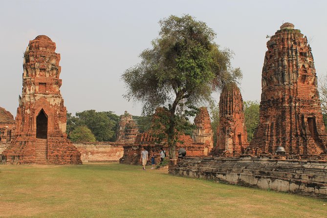 Ayutthaya Day Tour By Coach and Cruise - Wat Mahathat and the Buddha head in the tree
