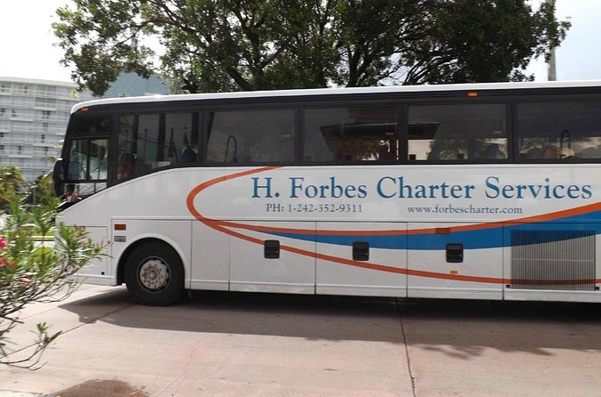 Bahamas Get-A-Round Bus Pass - Downtown Freeport: a glimpse of everyday island life