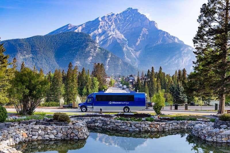 Banff: Wildlife and Sightseeing Minibus Tour - A smart first morning in Banff
