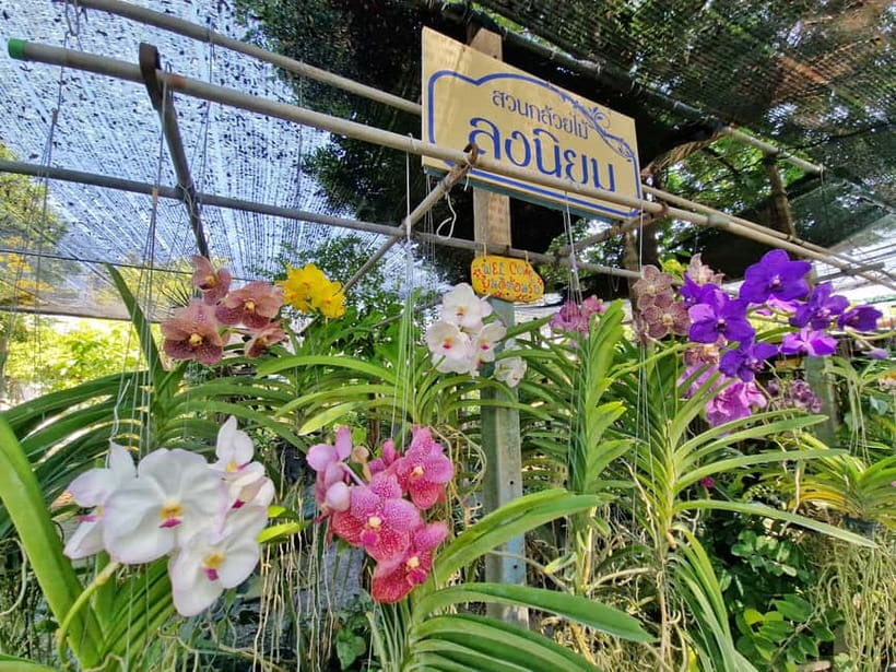 Bangkok Canals Hop-On Hop-Off Boat Tour - Key points to know before you go