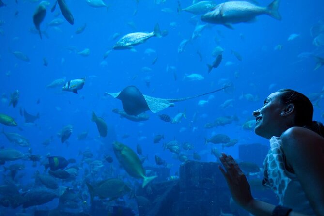 Barcelona City Tour Hop-On Hop-Off and Aquarium - The green route, from Barceloneta to Park Güell