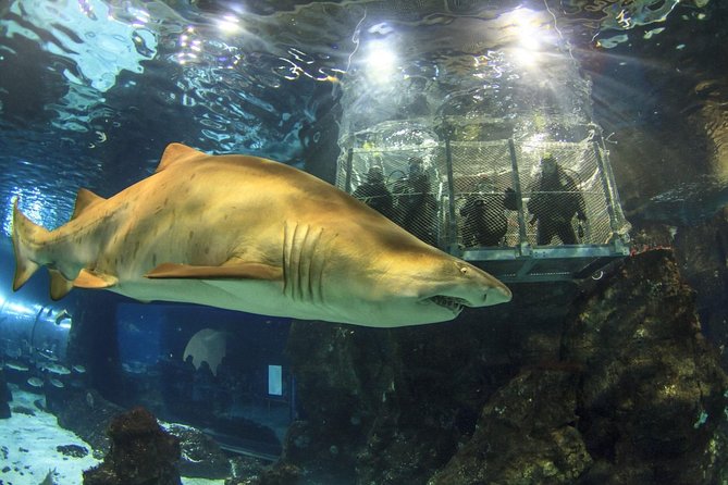 Barcelona City Tour Hop-On Hop-Off and Aquarium - Making the aquarium part of your plan