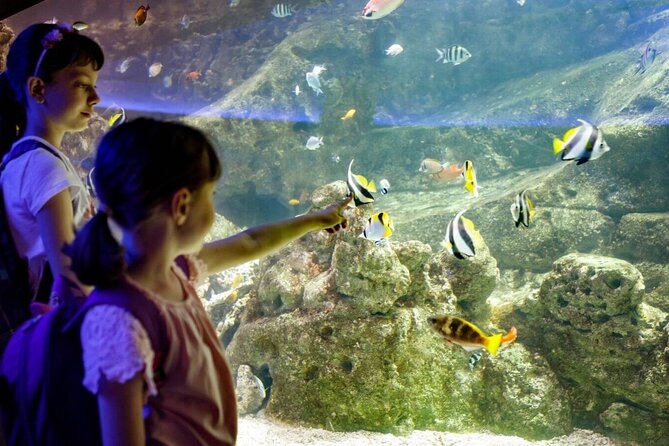 Barcelona City Tour Hop-On Hop-Off and Aquarium - How much value you get for $69.41
