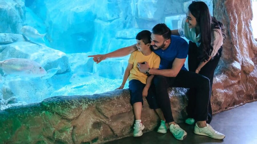 Barcelona: Hop-On Hop-Off Bus & Aquarium Tour - Getting Started at Plaça Catalunya