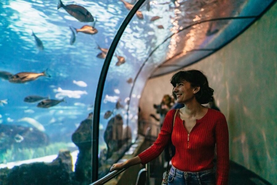 Barcelona: Hop-On Hop-Off Bus & Aquarium Tour - Making Sense of the Route Connections