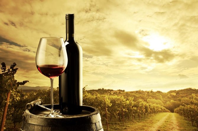 Barossa Valley Hop-On Hop-Off Wine Tour - Maggie Beer, Saltram, Yalumba, and Tanunda