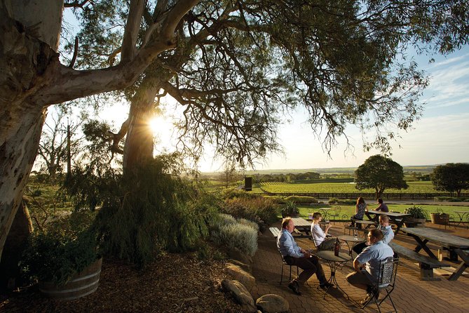 Barossa Valley Hop-On Hop-Off Wine Tour - Choosing wineries without wasting a time block