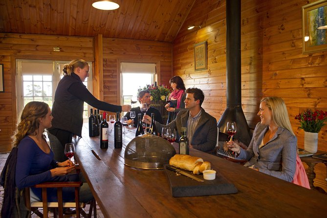 Barossa Valley Hop-On Hop-Off Wine Tour - What the guides add to the bus ride