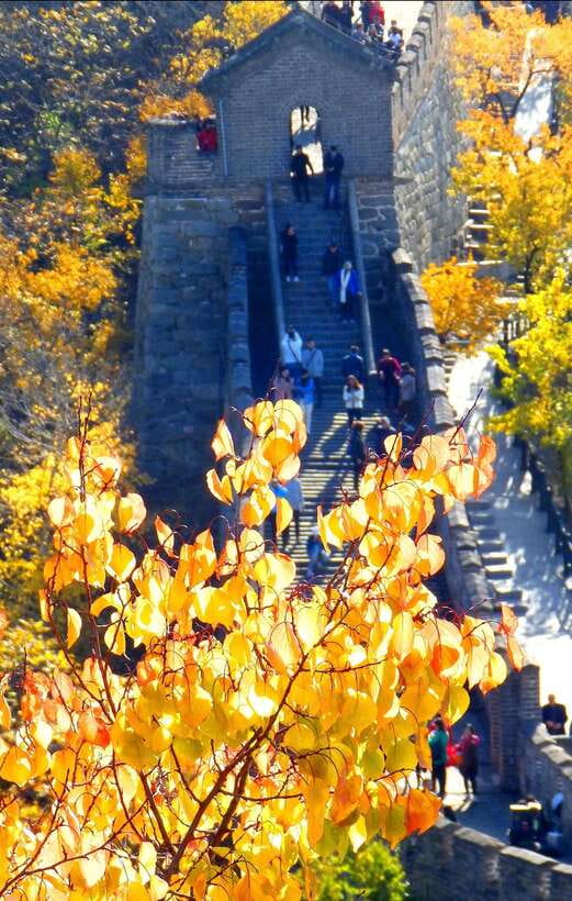 Beijing: Mutianyu Great Wall Bus Tour with Ticket &Cable car - Why this bus tour makes Mutianyu easier