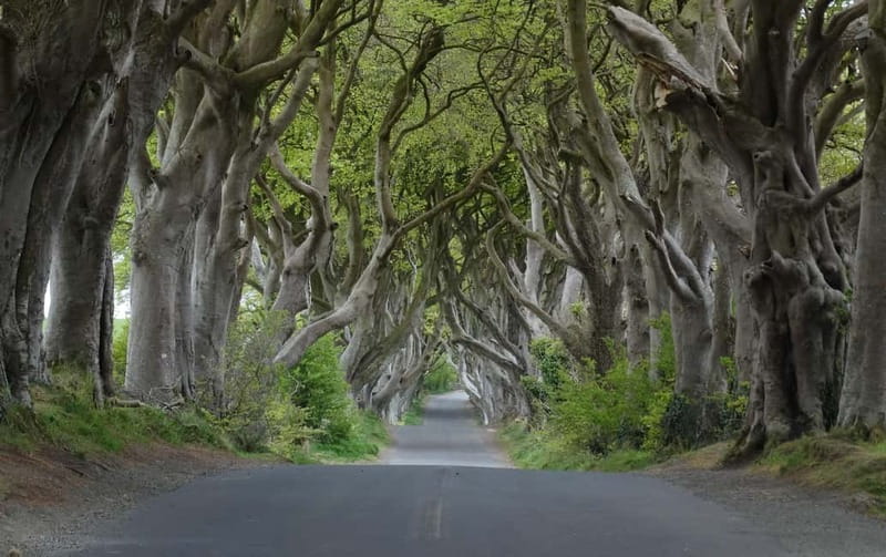 Belfast: Giant's Causeway Tour and 2-Day Open Top-Bus Tour - Giant’s Causeway is the day’s main event