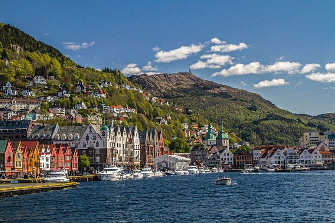 Bergen: Guided Tour by Minibus with Local Guide & Photostops - Why this minibus tour works well in Bergen