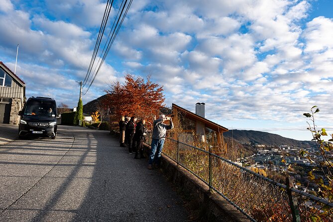 Bergen: Guided Tour by Minibus with Local Guide & Photostops - Nygårdsparken and Bergen’s university district