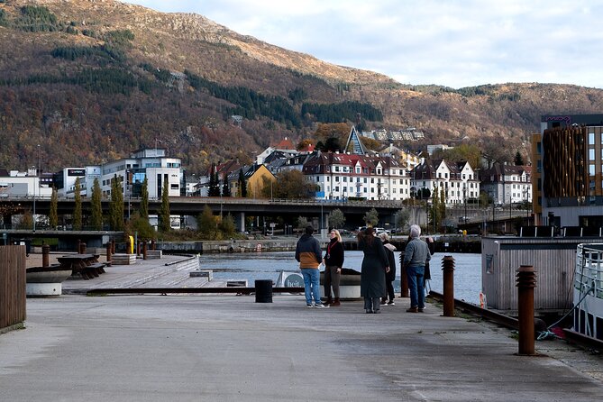 Bergen: Guided Tour by Minibus with Local Guide & Photostops - Solheimsviken and the Puddefjord
