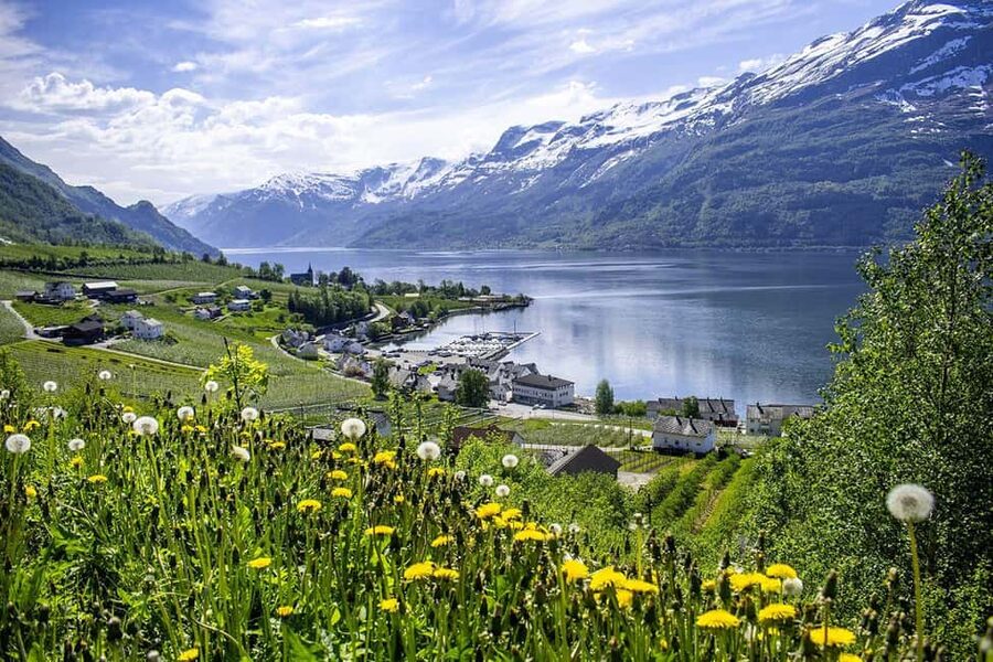 Bergen: Hardangerfjord & Waterfalls Bus Tour with Apple Pie - Stone Age carvings at Salthammeren