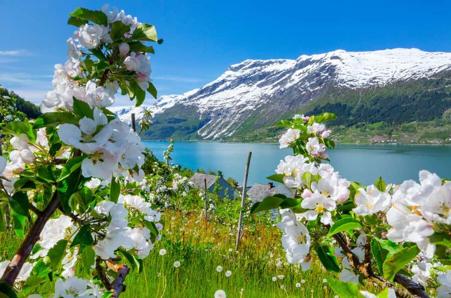 Bergen: Hardangerfjord & Waterfalls Bus Tour with Apple Pie - Waterfalls begin the day on the road east