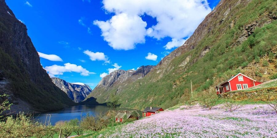 Bergen: Nærøyfjorden, Flåm, and Stegastein Guided Bus Tour - A full day from Bergen into fjord country