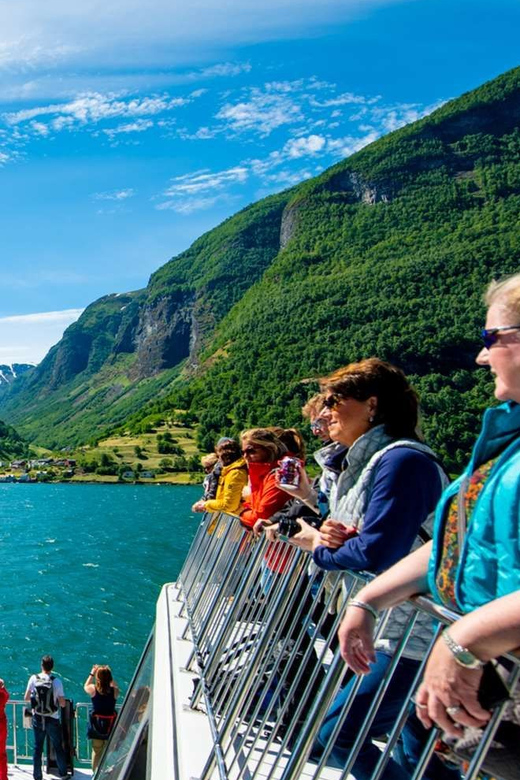 Bergen: Nærøyfjorden, Flåm, and Stegastein Guided Bus Tour - Who should book this day trip?
