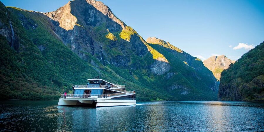 Bergen: Nærøyfjorden, Flåm, and Stegastein Guided Bus Tour - Roads through Gudvangen and Aurland