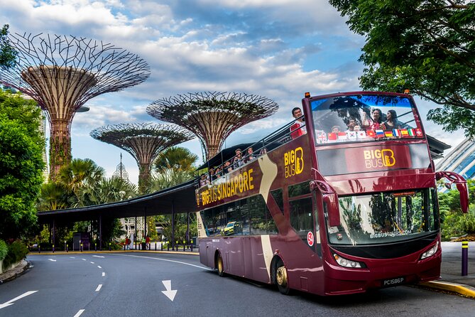 Big Bus Singapore Hop-On Hop-Off Tour - Key points before you book