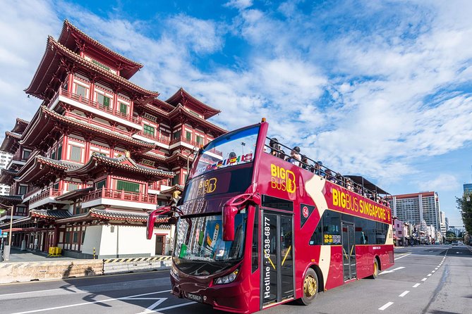 Big Bus Singapore Hop-On Hop-Off Tour - What the Big Bus Singapore tour actually gives you