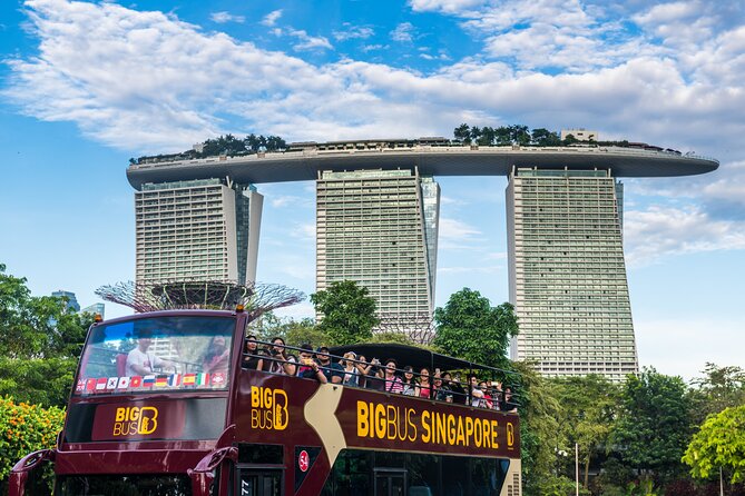 Big Bus Singapore Hop-On Hop-Off Tour - Is $52.39 a fair price?
